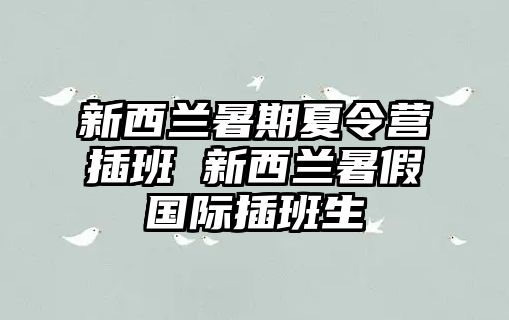 新西兰暑期夏令营插班 新西兰暑假国际插班生