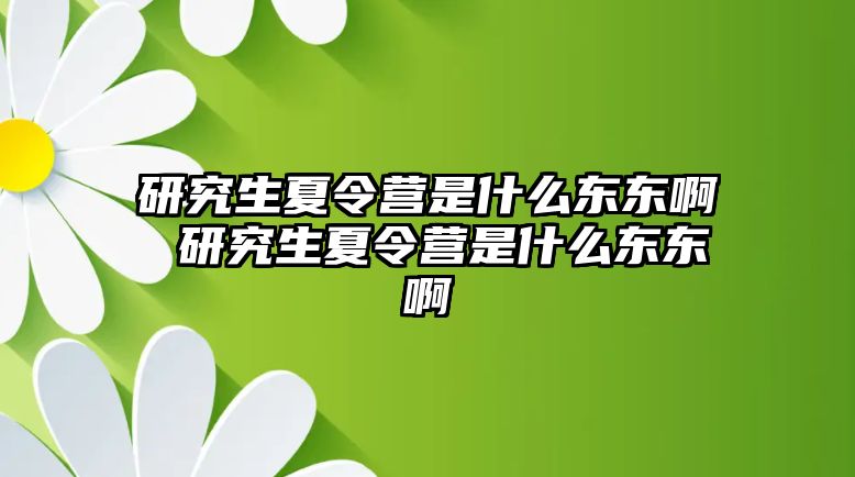 研究生夏令营是什么东东啊 研究生夏令营是什么东东啊