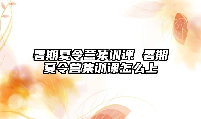 暑期夏令营集训课 暑期夏令营集训课怎么上