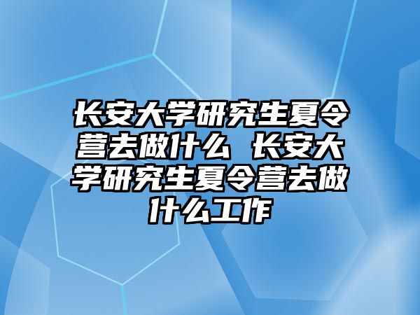 长安大学研究生夏令营去做什么 长安大学研究生夏令营去做什么工作