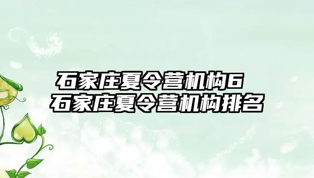 石家庄夏令营机构6 石家庄夏令营机构排名