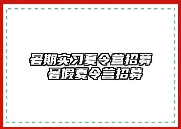 暑期实习夏令营招募 暑假夏令营招募