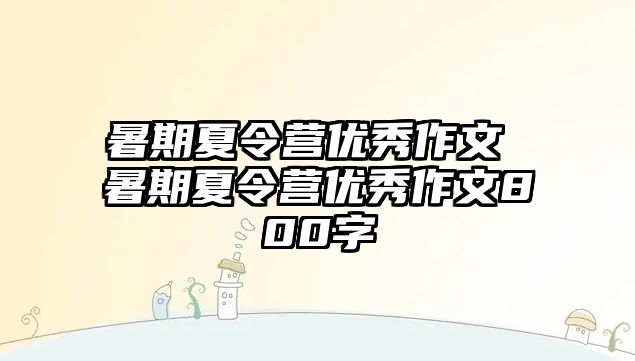 暑期夏令营优秀作文 暑期夏令营优秀作文800字