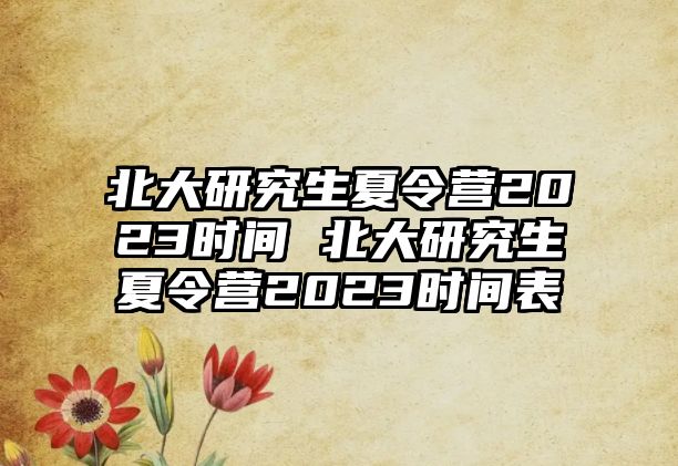 北大研究生夏令营2023时间 北大研究生夏令营2023时间表