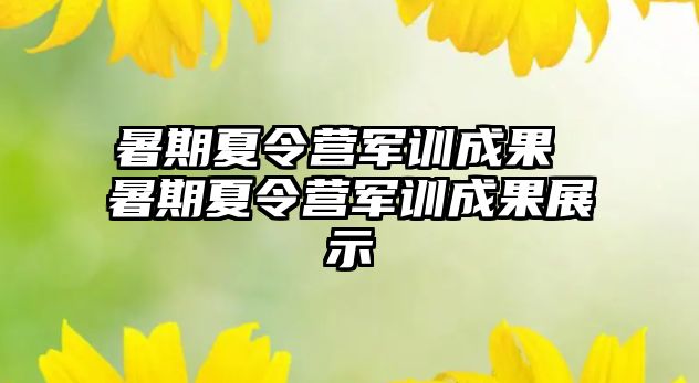 暑期夏令营军训成果 暑期夏令营军训成果展示