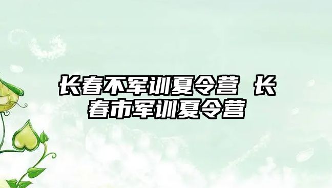 长春不军训夏令营 长春市军训夏令营