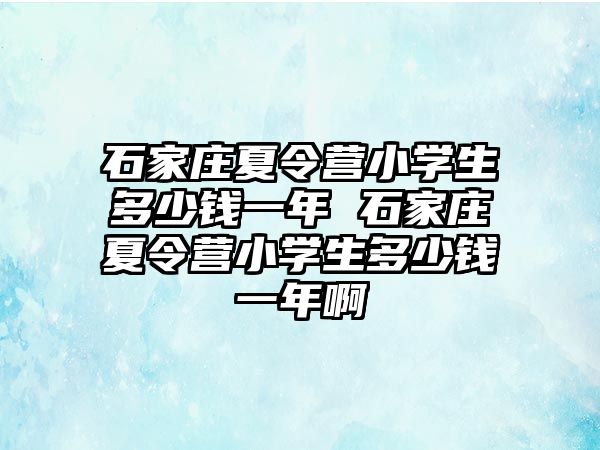 石家庄夏令营小学生多少钱一年 石家庄夏令营小学生多少钱一年啊