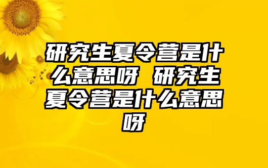 研究生夏令营是什么意思呀 研究生夏令营是什么意思呀