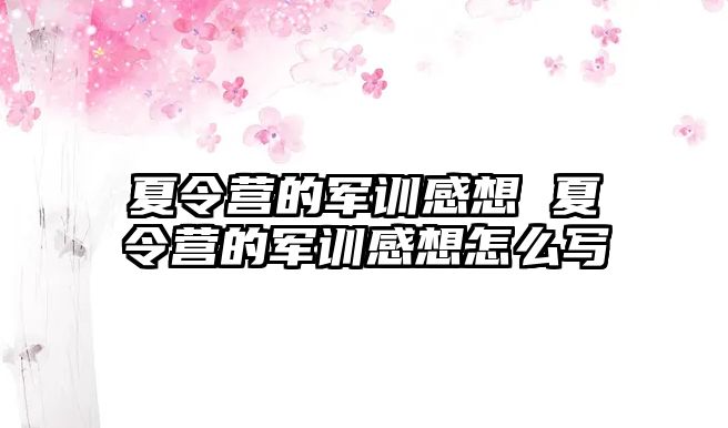 夏令营的军训感想 夏令营的军训感想怎么写