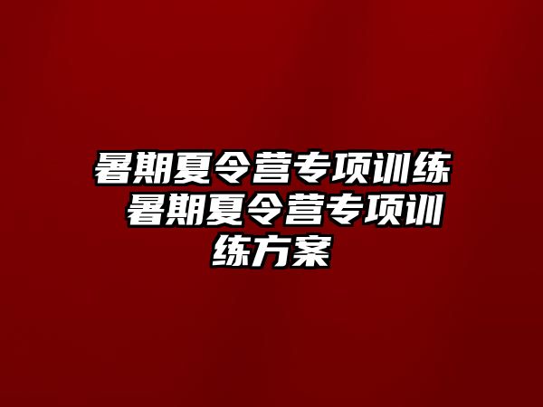 暑期夏令营专项训练 暑期夏令营专项训练方案