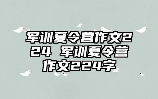 军训夏令营作文224 军训夏令营作文224字