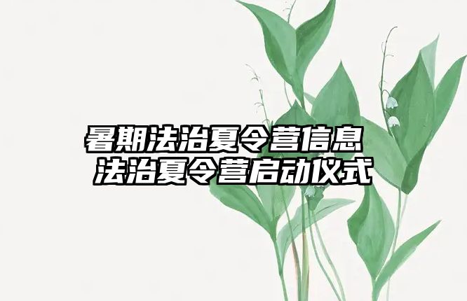 暑期法治夏令营信息 法治夏令营启动仪式