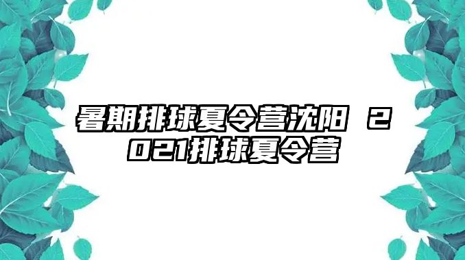 暑期排球夏令营沈阳 2021排球夏令营