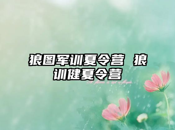 狼图军训夏令营 狼训健夏令营