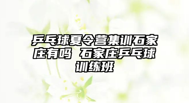 乒乓球夏令营集训石家庄有吗 石家庄乒乓球训练班