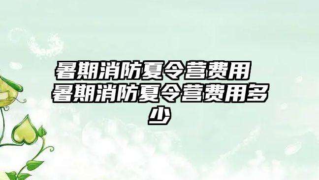 暑期消防夏令营费用 暑期消防夏令营费用多少