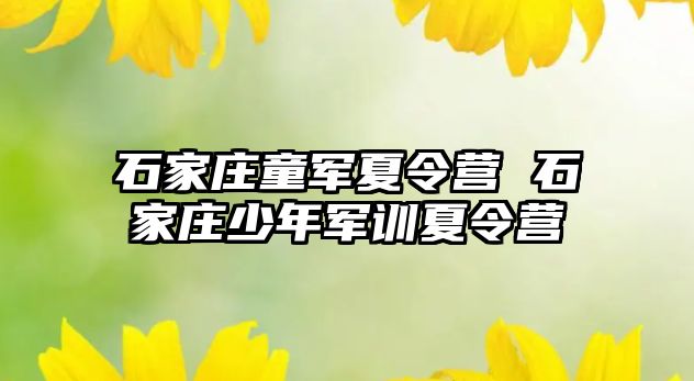 石家庄童军夏令营 石家庄少年军训夏令营