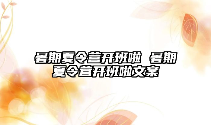 暑期夏令营开班啦 暑期夏令营开班啦文案