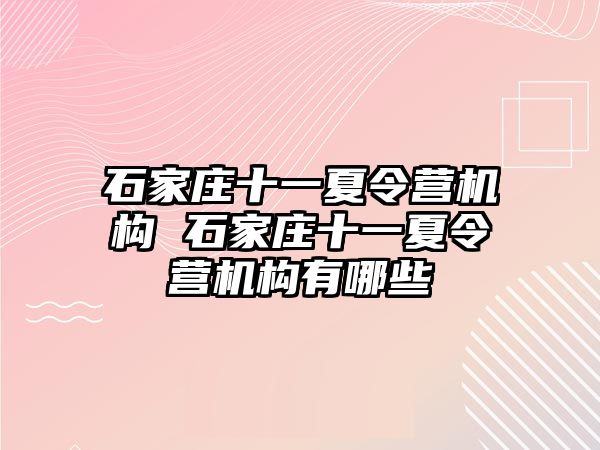 石家庄十一夏令营机构 石家庄十一夏令营机构有哪些