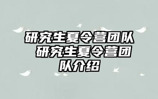 研究生夏令营团队 研究生夏令营团队介绍