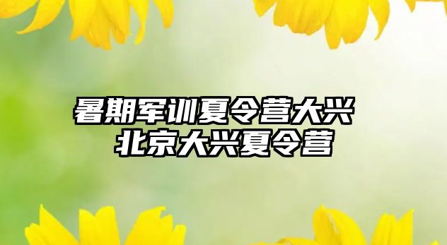 暑期军训夏令营大兴 北京大兴夏令营