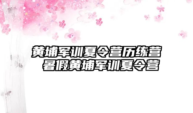 黄埔军训夏令营历练营 暑假黄埔军训夏令营