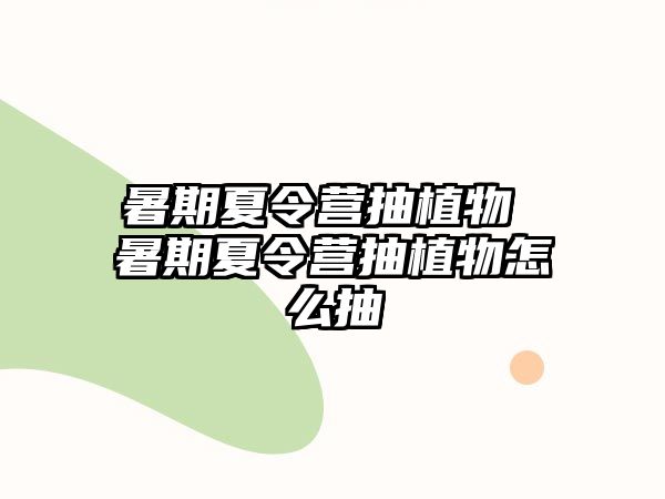 暑期夏令营抽植物 暑期夏令营抽植物怎么抽