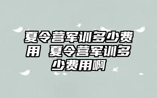 夏令营军训多少费用 夏令营军训多少费用啊