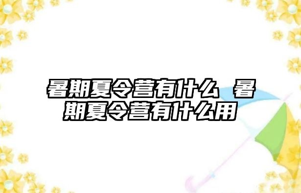 暑期夏令营有什么 暑期夏令营有什么用