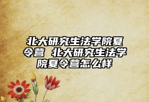 北大研究生法学院夏令营 北大研究生法学院夏令营怎么样