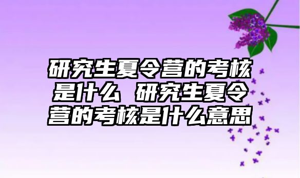 研究生夏令营的考核是什么 研究生夏令营的考核是什么意思