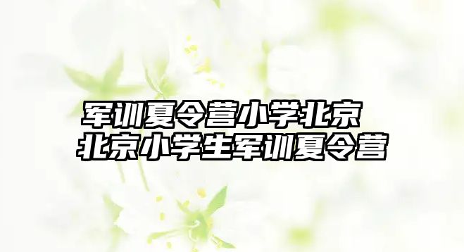 军训夏令营小学北京 北京小学生军训夏令营