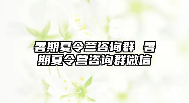 暑期夏令营咨询群 暑期夏令营咨询群微信