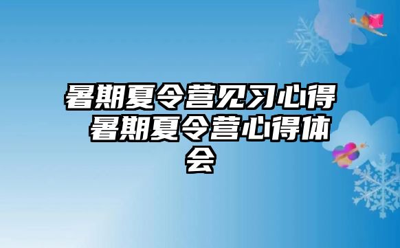 暑期夏令营见习心得 暑期夏令营心得体会