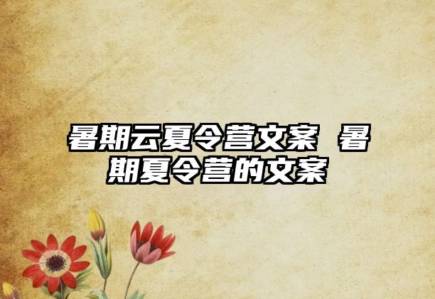 暑期云夏令营文案 暑期夏令营的文案