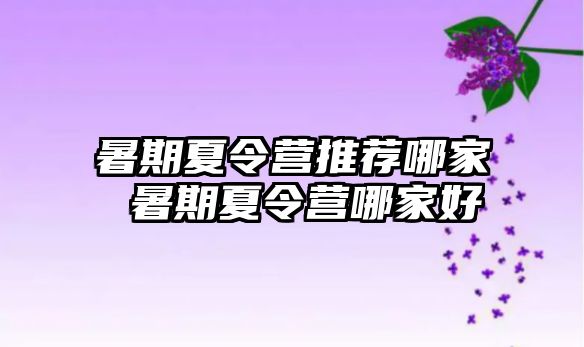 暑期夏令营推荐哪家 暑期夏令营哪家好