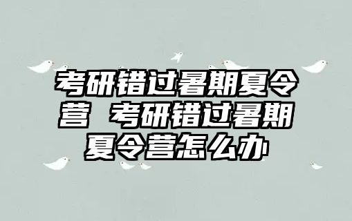 考研错过暑期夏令营 考研错过暑期夏令营怎么办