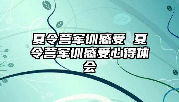 夏令营军训感受 夏令营军训感受心得体会