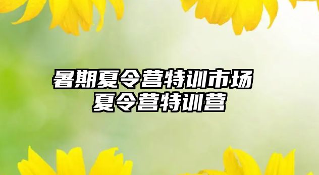 暑期夏令营特训市场 夏令营特训营