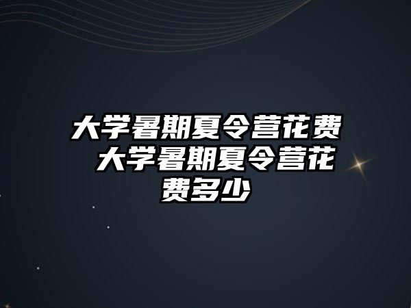 大学暑期夏令营花费 大学暑期夏令营花费多少