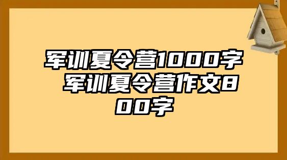 军训夏令营1000字 军训夏令营作文800字