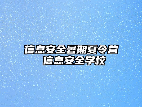 信息安全暑期夏令营 信息安全学校