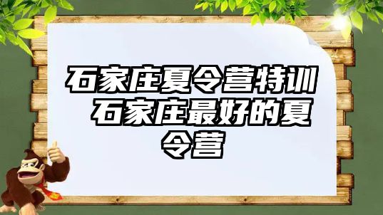 石家庄夏令营特训 石家庄最好的夏令营