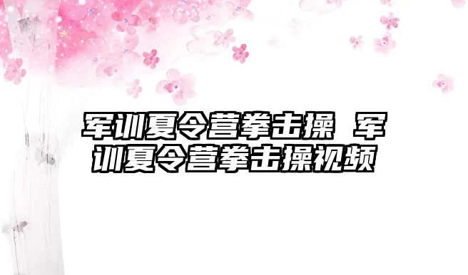 军训夏令营拳击操 军训夏令营拳击操视频