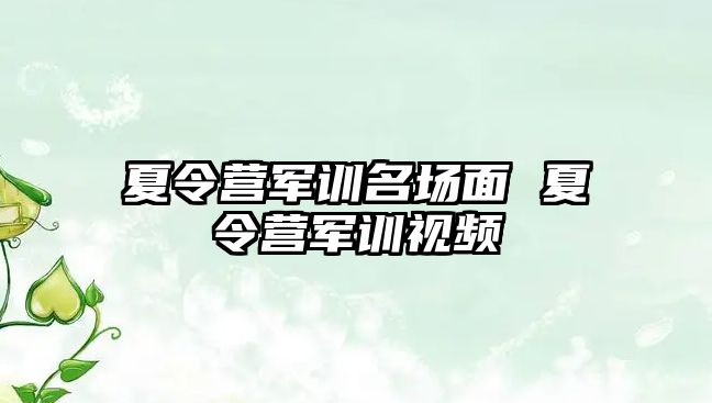 夏令营军训名场面 夏令营军训视频