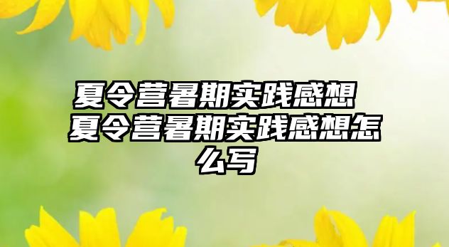 夏令营暑期实践感想 夏令营暑期实践感想怎么写