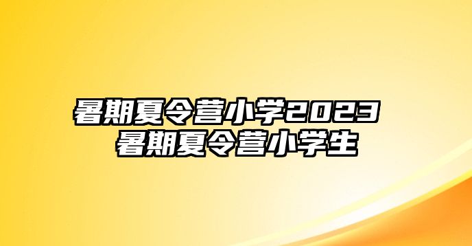 暑期夏令营小学2023 暑期夏令营小学生