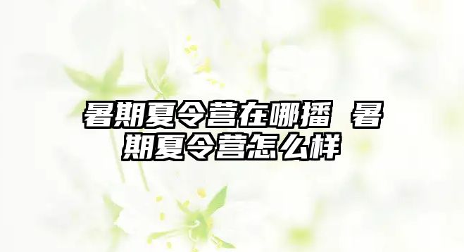 暑期夏令营在哪播 暑期夏令营怎么样