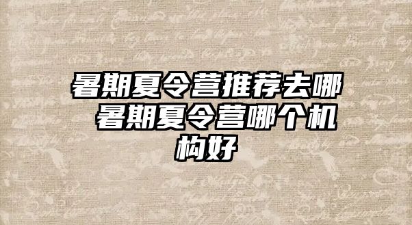 暑期夏令营推荐去哪 暑期夏令营哪个机构好