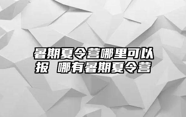 暑期夏令营哪里可以报 哪有暑期夏令营